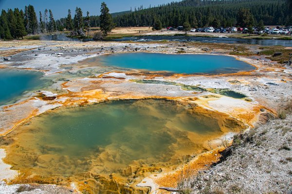 Comment organiser une visite des geysers et des sources chaudes en Nouvelle-Zélande?